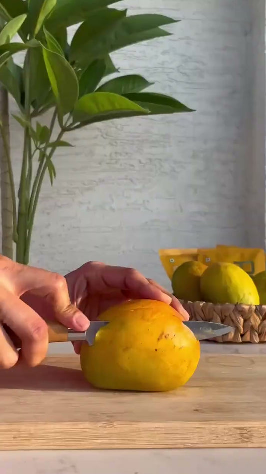 Hapus Mango Protein Shake Recipe