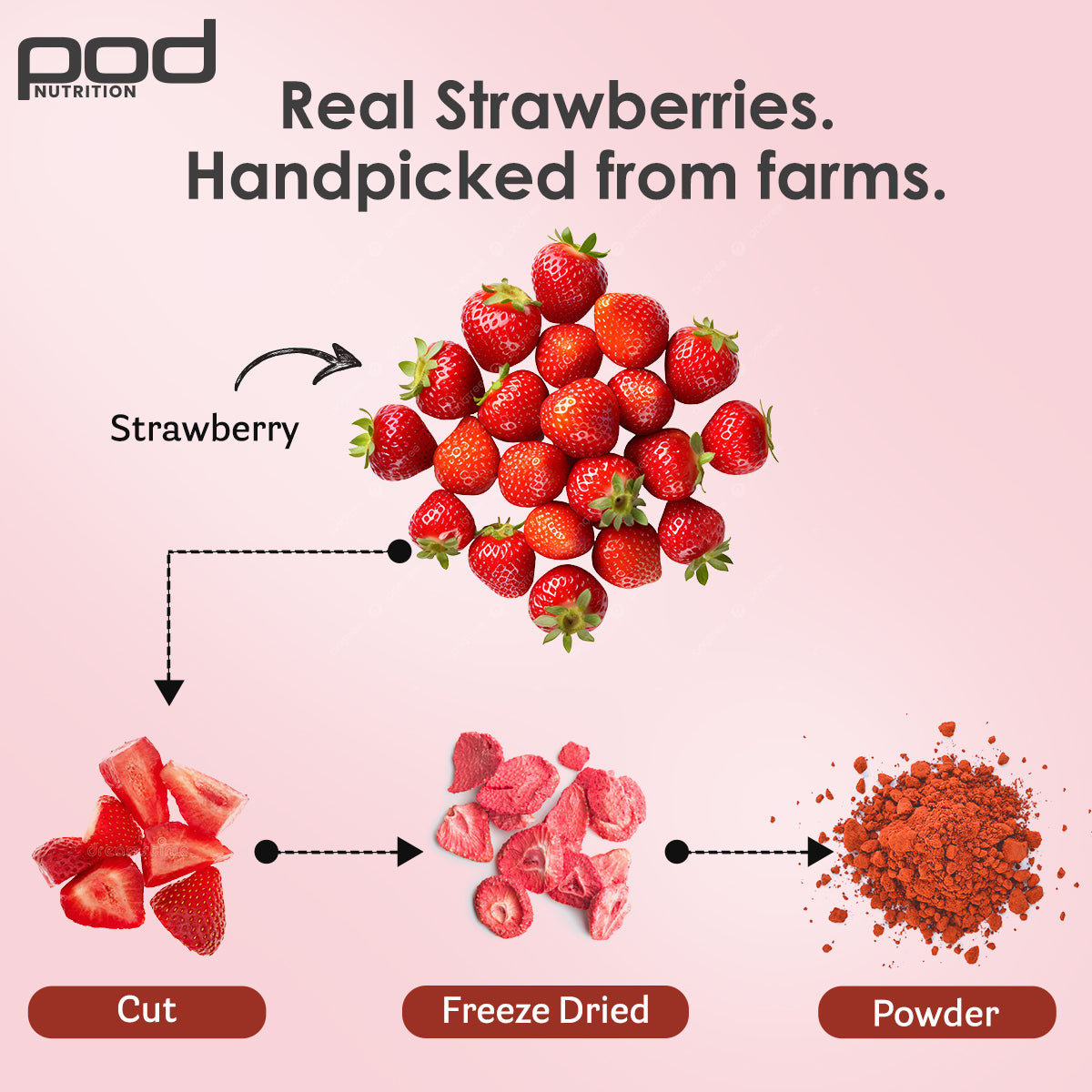 Real Strawberry - Sachets